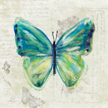 Picture of BUTTERFLY SKETCH