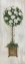 Picture of WOODGRAIN TOPIARY