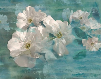 Picture of WILD JASMINE