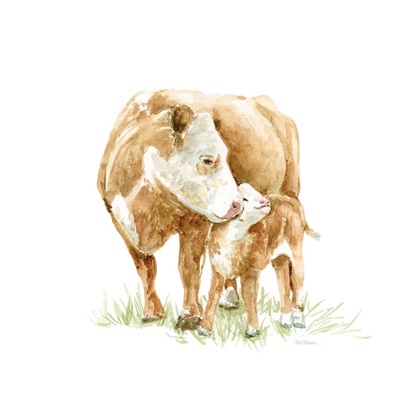 Picture of COW AND CALF