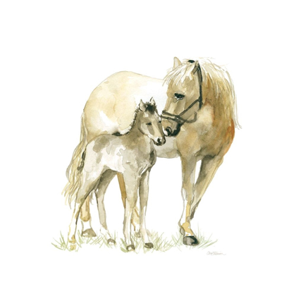 Picture of HORSE AND COLT