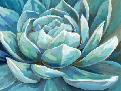 Picture of CERULEAN SUCCULENT