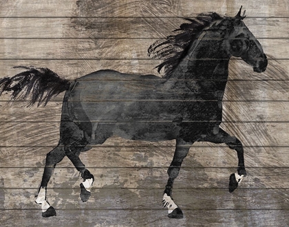 Picture of BARNWOOD HORSE