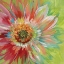 Picture of BRIGHT SUNBURST
