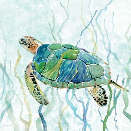 Picture of SEA TURTLE SWIM II