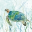 Picture of SEA TURTLE SWIM II