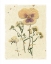 Picture of PRESSED PANSY