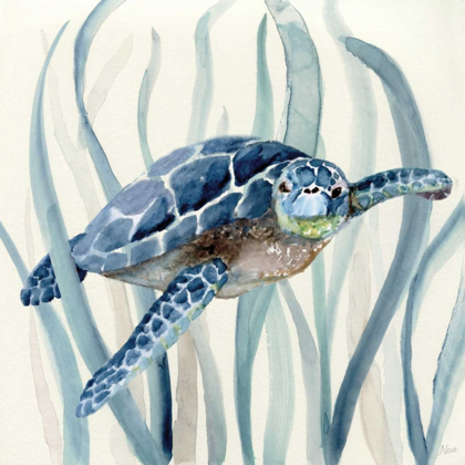 Picture of TURTLE IN SEAGRASS I