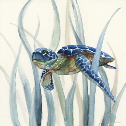 Picture of TURTLE IN SEAGRASS II