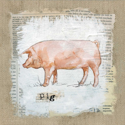 Picture of BURLAP PIG