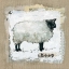 Picture of BURLAP SHEEP