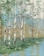 Picture of BIRCH