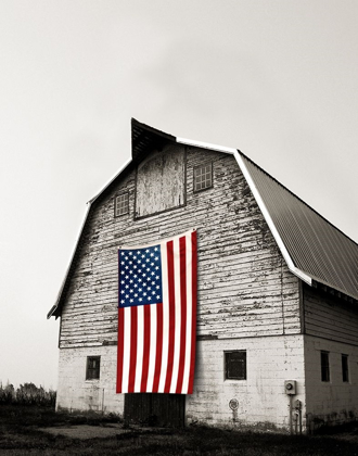 Picture of MODERN BARN