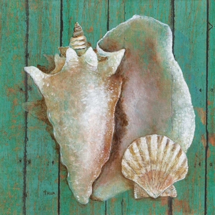 Picture of CONCH