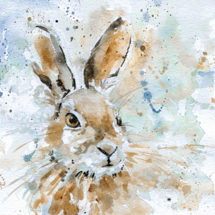 Picture of HARE