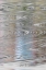 Picture of ICE FLOW