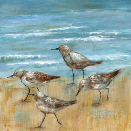Picture of SANDPIPERS III