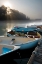 Picture of SKIFFS IN THE
