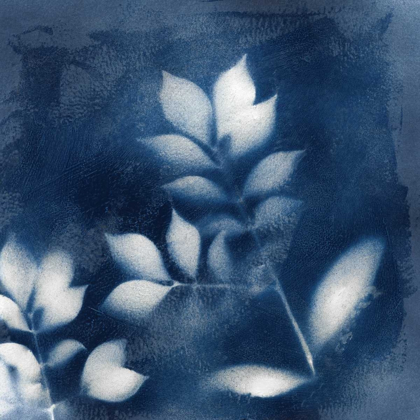 Picture of NATURES INDIGO III