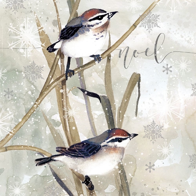 Picture of WINTER BIRDS NOEL