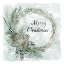 Picture of MERRY CHRISTMAS