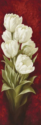 Picture of MAGNIFICENT TULIPS I