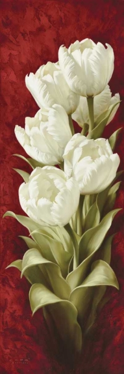 Picture of MAGNIFICENT TULIPS II