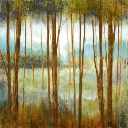 Picture of SOFT FOREST I