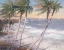 Picture of WHITE SAND BEACHES