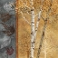 Picture of BIRCH TREES IN AUTUMN I