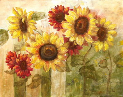 Picture of SUNFLOWERS DELIGHT