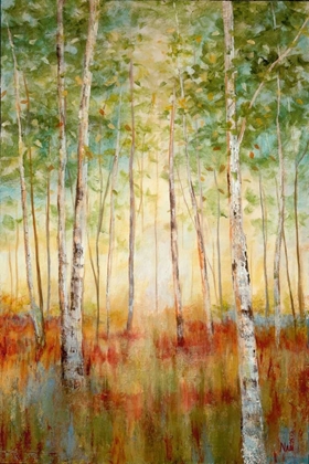 Picture of BIRCH WOODS