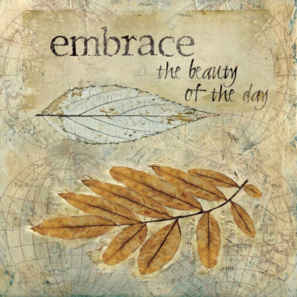 Picture of EMBRACE