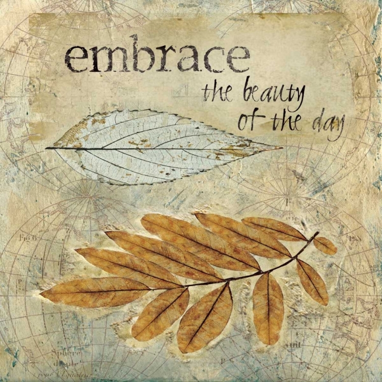 Picture of EMBRACE