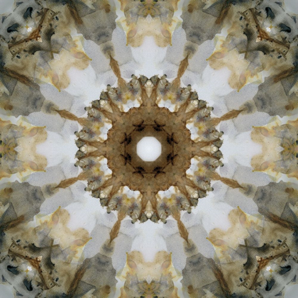 Picture of KALEIDOSCOPE HONEY GRAY