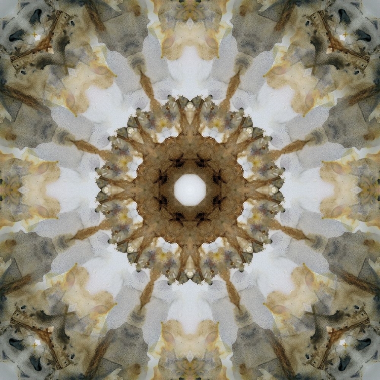 Picture of KALEIDOSCOPE HONEY GRAY