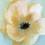 Picture of SOFT SUNDAY III
