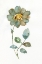 Picture of SIMPLE PETALS I
