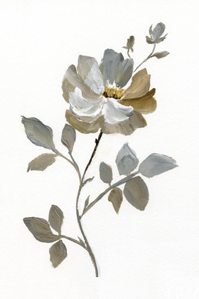 Picture of NEUTRAL ROSE I