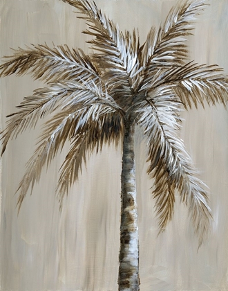 Picture of PALM MAGIC II