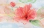 Picture of HIBISCUS