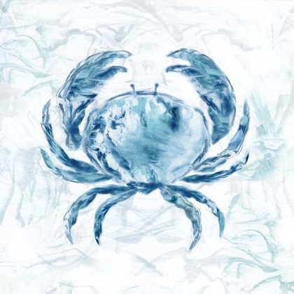 Picture of BLUE MARBLE COAST CRAB