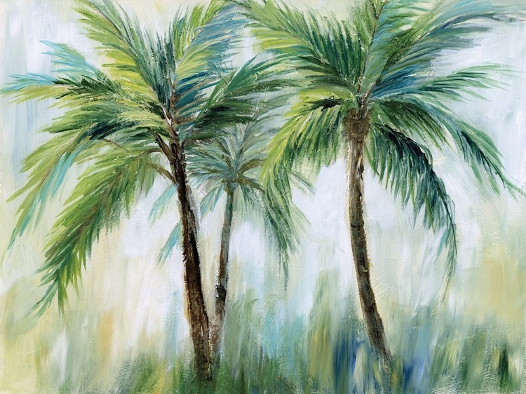 Picture of PALM SENSATION