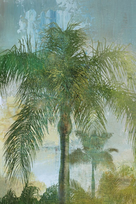 Picture of CONTEMPORARY PALM