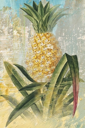 Picture of BOTANICAL PINEAPPLE