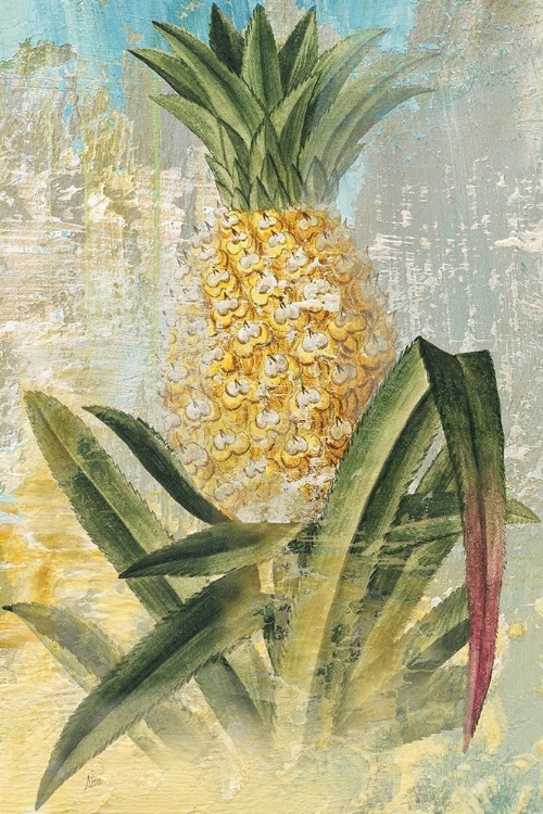 Picture of BOTANICAL PINEAPPLE