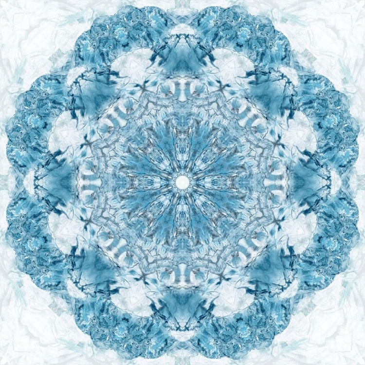 Picture of KALEIDOSCOPE WING