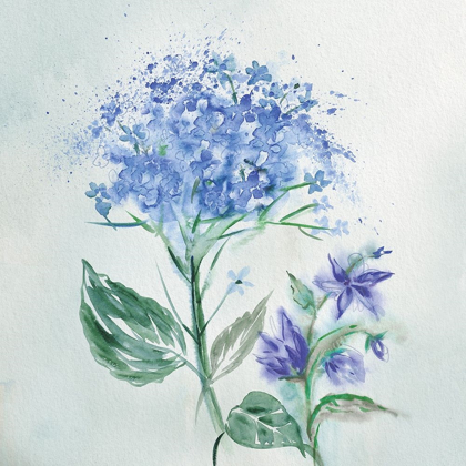 Picture of BLUE FLOWER WASH