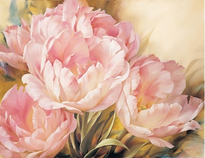 Picture of ANGELIQUE TULIPS I