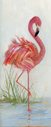 Picture of FLAMINGO I